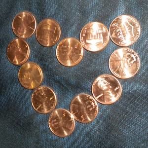 Meet your Posher, Dina